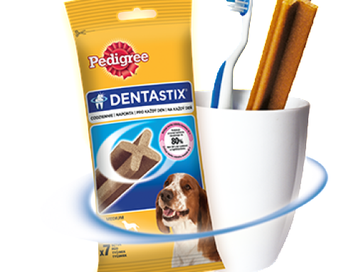 Miesiąc zdrowych zębów z Dentastix Pedigree!